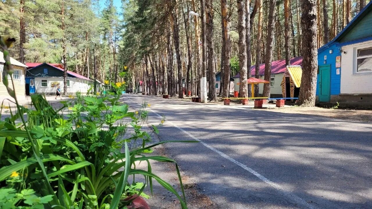 Золотой колос нижегородская область. Лагерь золотой колос нижегородская область. Золотой колос лагерь арзамас. Золотой колос лагерь арзамас. Лагерь золотой колос арзамасский.