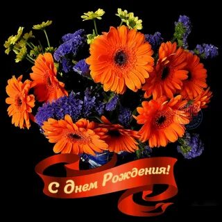 Стихи гербер