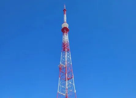 Амурчане поддержат эколого-патриотическую акцию "Сад памяти". 18 июня телебашни 