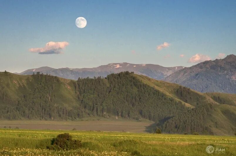 Загадка Алтая фото. Загадка Алтая. Горный Алтай температура 21 августа.