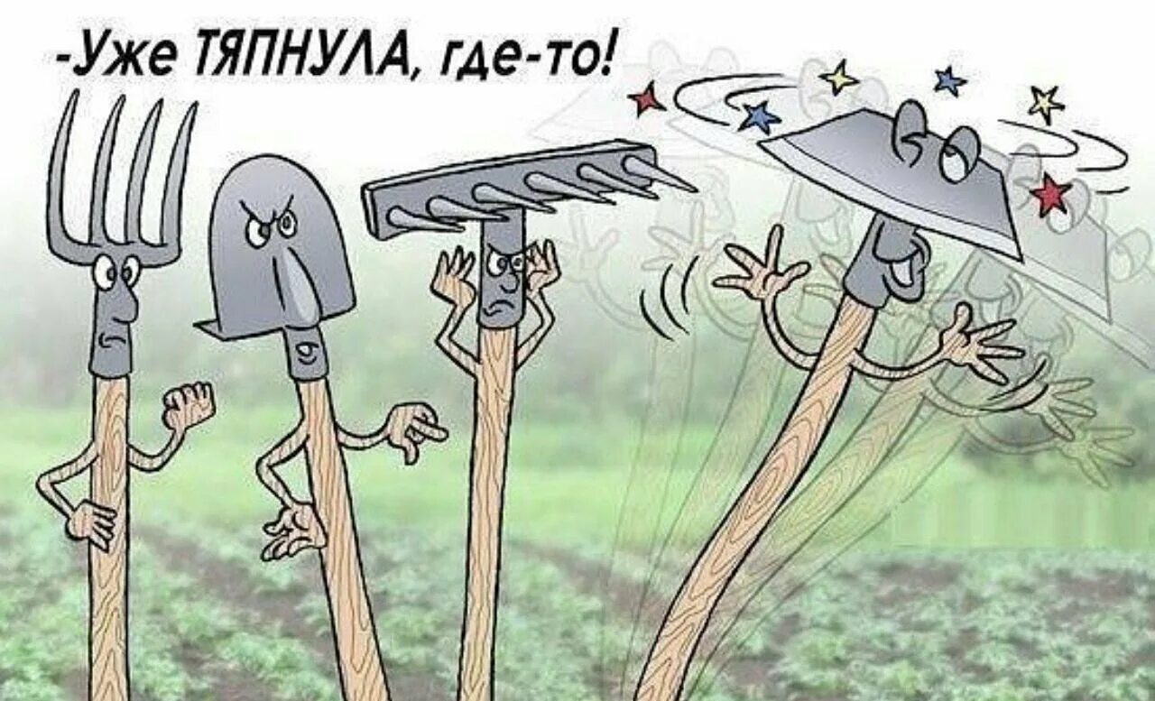 Кошу ни
