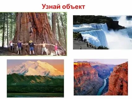 Северная америка путешествие география 7