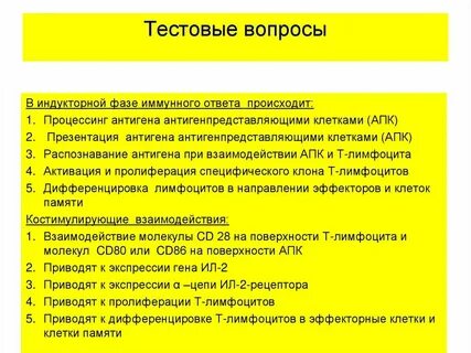 Фазы иммунного ответа