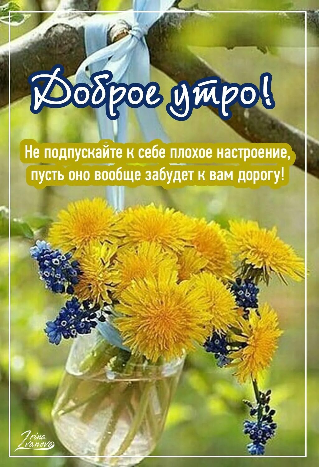 Всем доброго утра солнечного дня. Всем доброго утра солнечного дня