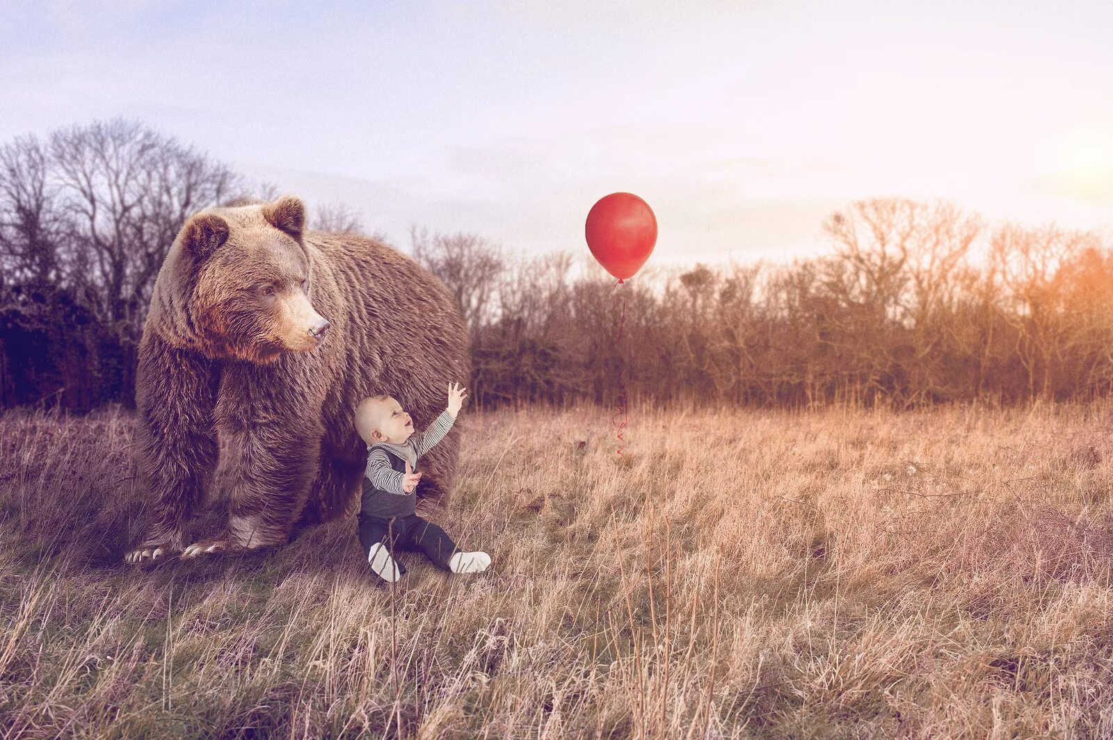 Медведь на шаре. Медведь на воздушном шаре. Медведь охраняет ребенка. Россия медведь на шаре.
