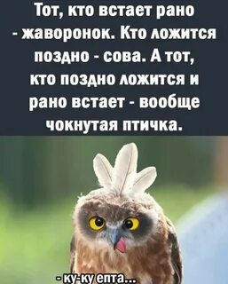 Чокнутая птичка