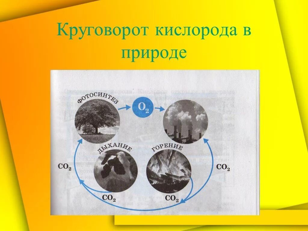 Круговорот кислорода в природе схема 8 класс химия. Кислород в природе схема. Круговорот кислорода в природе схема. Круговорот кислорода в природе химия.