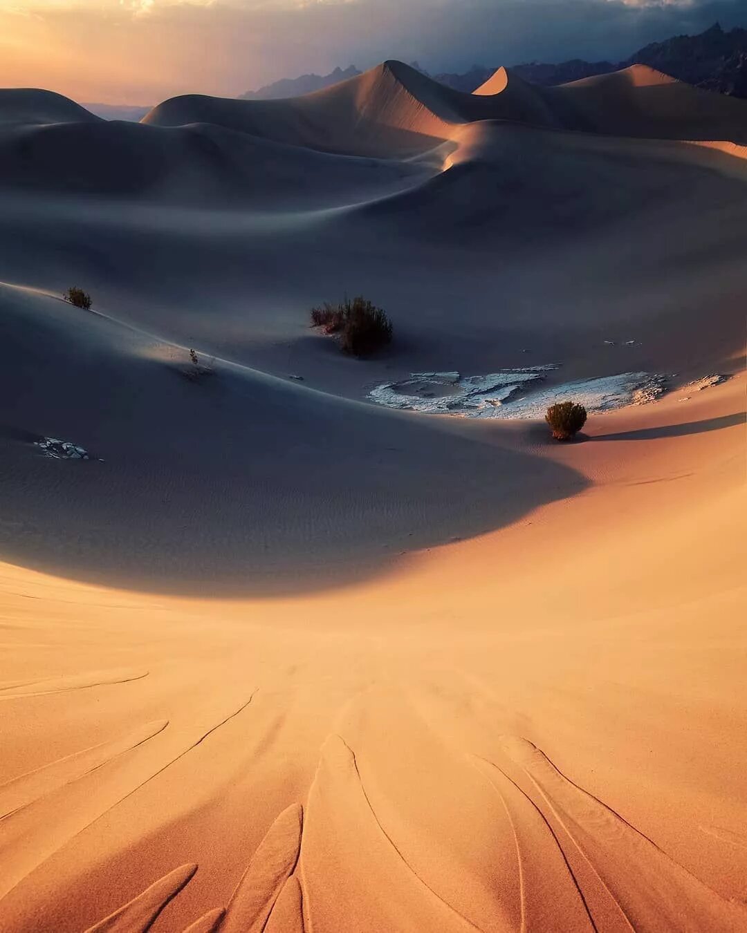 Сокотра барханы. Намибия калахари. Пески африки на прозрачном фоне. Beautiful deserts. Песчано-эоловая пустыня сахары.