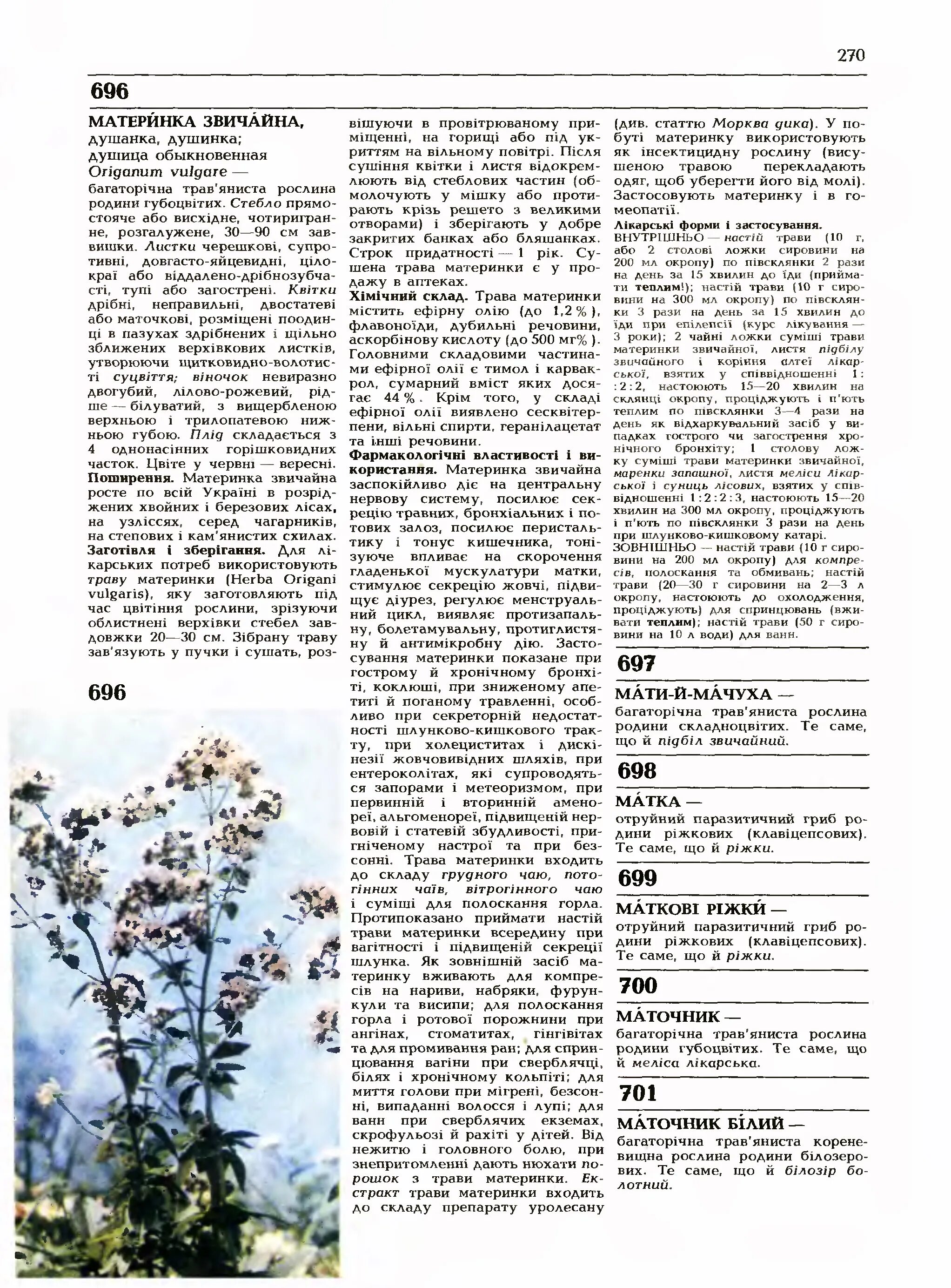 душица обыкновенная (орегано). душицы трава пак. душицы трава пак. можно ли душицу при беременности. 50г фитобот.