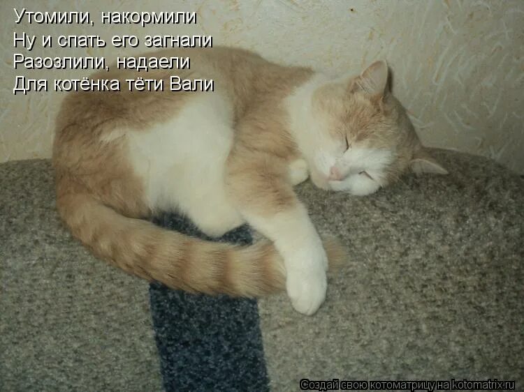 и утомленный своим счастьем он заснул. красивые мысли. с. человек спит картинка. мужчина обнимает подушку.