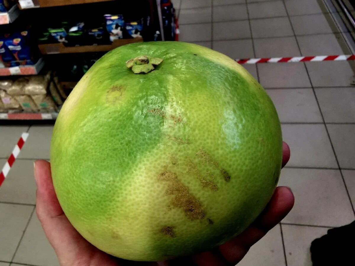 Зеленый похож на грейпфрут
