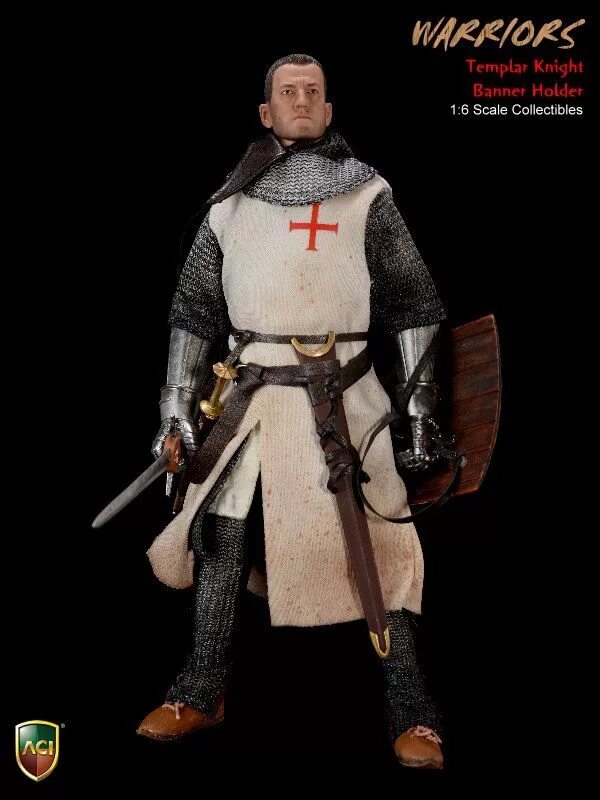 Templar knight from another world