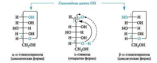 Фруктоза гидроксильная группа. Образование циклической формы d-Глюкозы. Фруктоза открытая и циклическая форма. Фруктоза формула колли Толленса. Образование циклической формы альдозы.