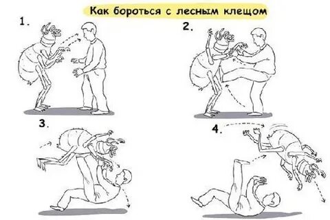 Способы борьбы с клещами