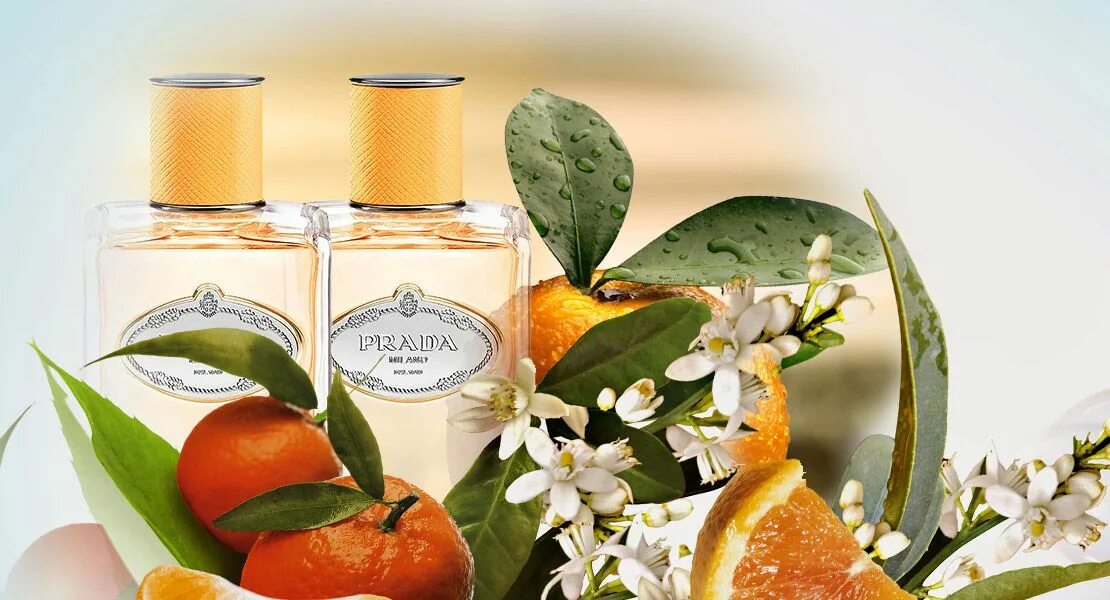 Мандарин в духах. Prada Mandarine. Infusion Mandarine Prada. Духи Prada Infusion de Mandarine. 17773 Prada Infusion de fleur d'oranger духи.