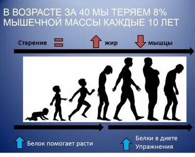Саркопения возраст