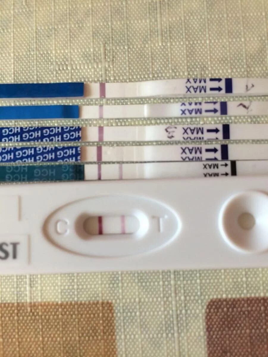 Тошнит но тест отрицательный. Болит грудь тест отрицательный. Задержка 3 дня болит. Задержка болит грудь тест отрицательный. Тесты до задержки месячных.
