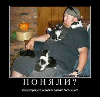 Почему хорошо быть животным