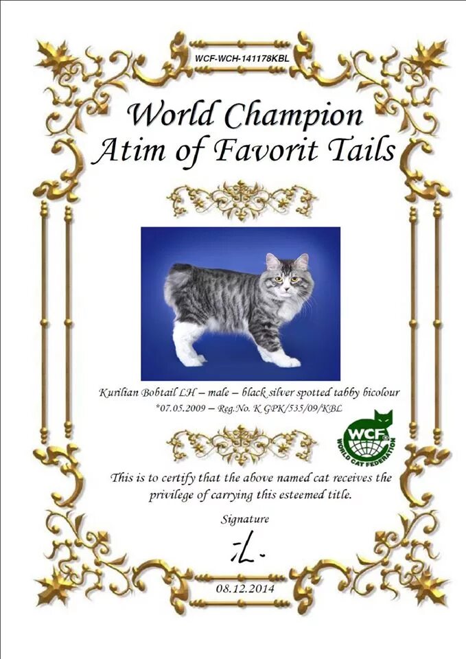Wcf логотип. Родословная для котят. Wcf логотип. Выставка кошек титулы. Wcf world cat federation.