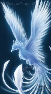 White phoenix