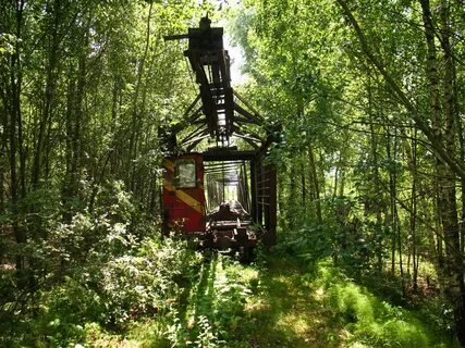 Узкоколейка в беларуси
