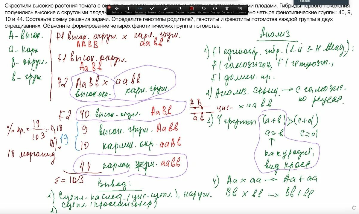 Решение задач по биологии 11 класс. Решение задач по биологии ЕГЭ 28 задание. Решение задач по генетике ЕГЭ. Генетика задачи ЕГЭ биология. Генетическая задача по биологии ЕГЭ.