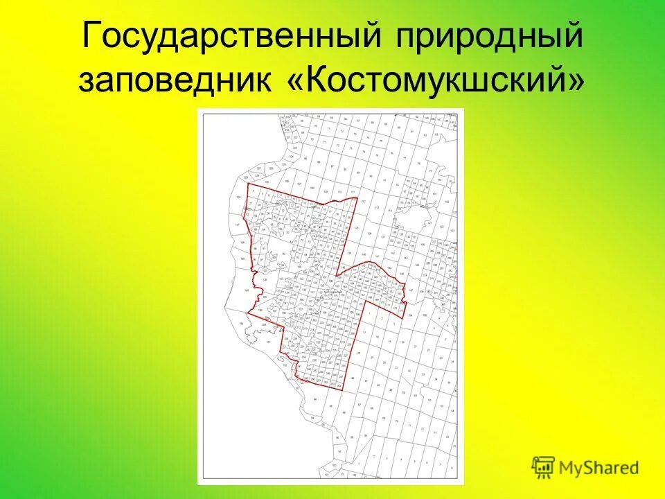 костомукшский заповедник на карте