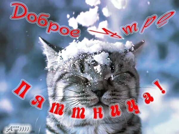 Доброе Снежное утро. Доброе зимнее утро пятн цы. Доброеьутро зимней пятницы. Доброе зимнее утро пятницы