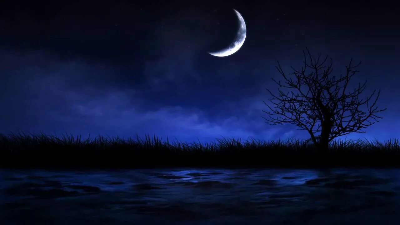 Полночь с мягким. Полночь с мягким. Полночь с мягким. Луна месяц. Полнолуние магия.