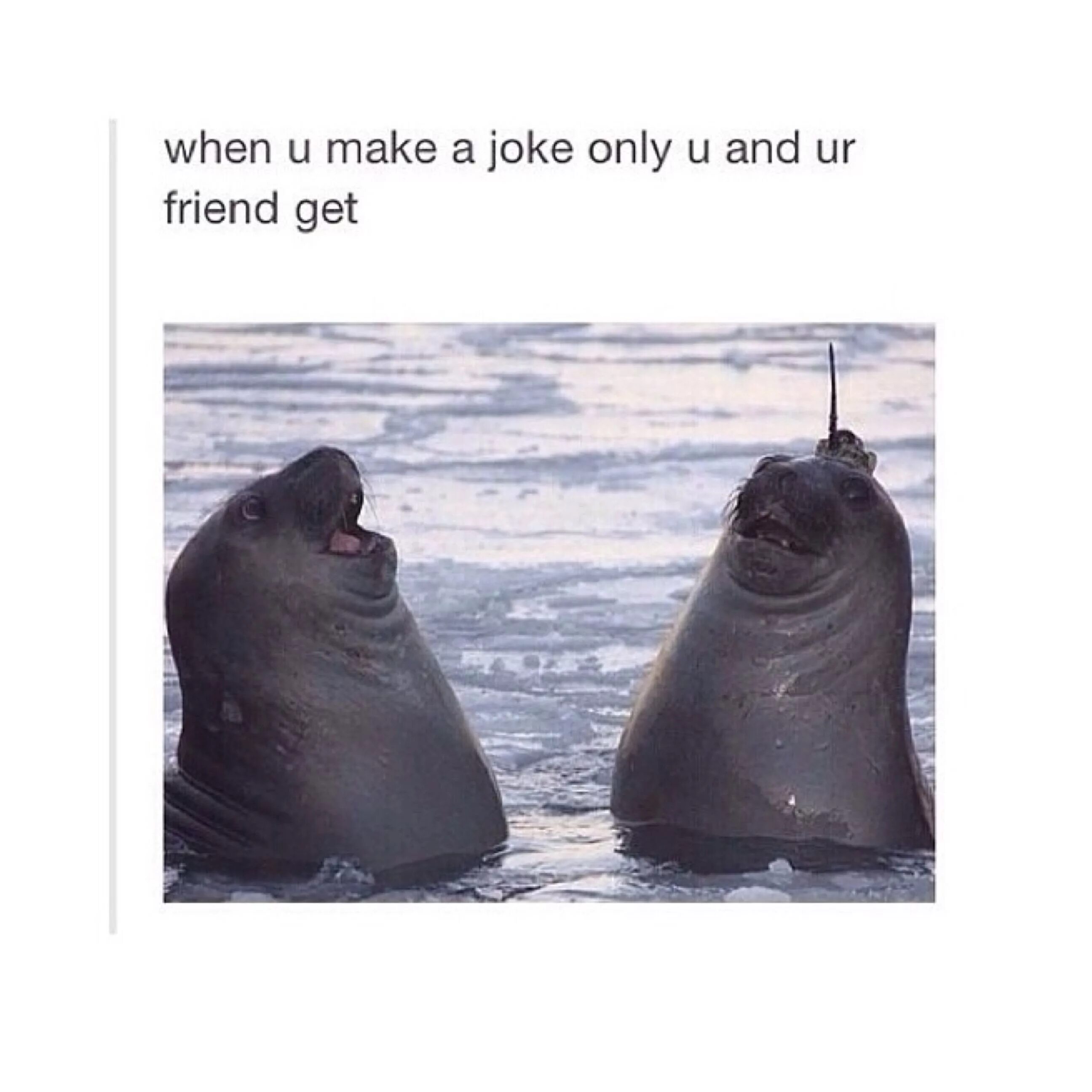 Only joking. Best friends мемы. When you and your friend say at the same time. Best friend jokes. Make jokes.