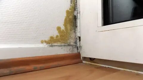 Влажность 1 этаж