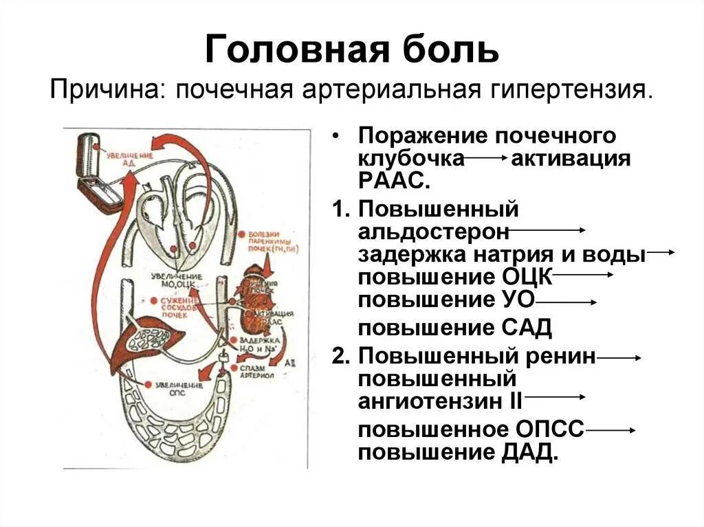 Боль почка давление