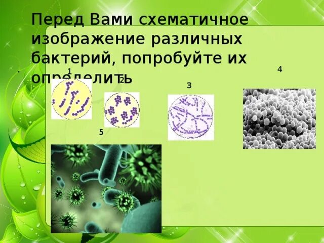 Урок понятие о микроорганизмах. Микроорганизмдер суроту. Микробиология это 5 класс. Понятие о микроорганизмах. Понятие о микроорганизмах технология 7 класс.