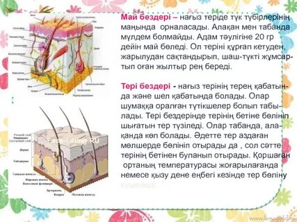 Смотреть порно видео арбады