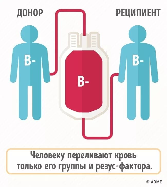 Универсальная кровь 1. Донор и реципиент. Доноры и реципиенты крови. Переливание крови донор реципиент. Донор и реципиент группа.