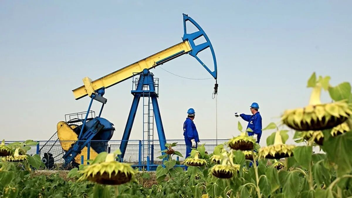 Украина нефть газ