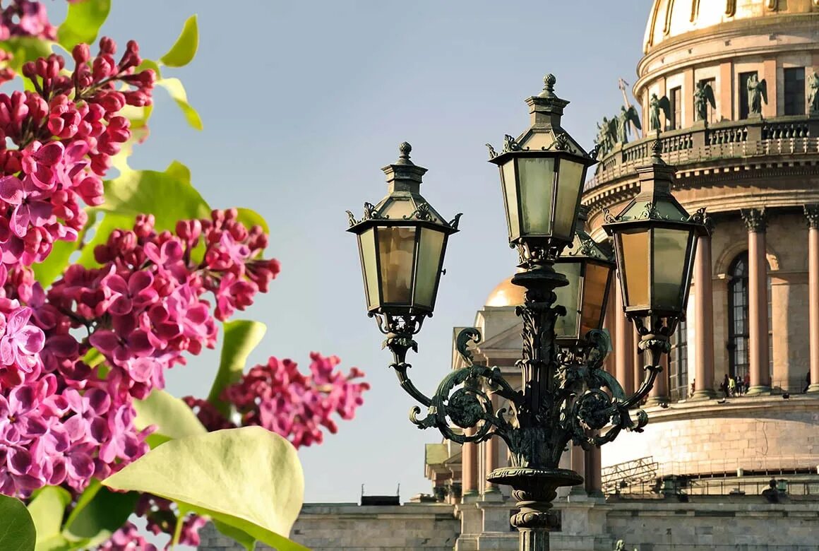 Экскурсии в петербурге в мае. Весна в петербурге. петербург весной. петербург цветы. санкт-петербург весной в мае.