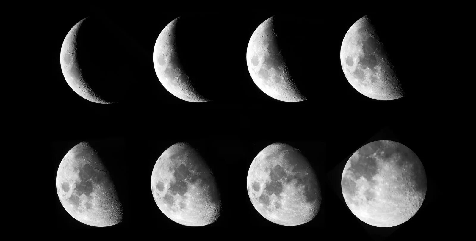 Фотографии луны. Кратер герцшпрунг на луне. Изображение луны. Снимки темной стороны луны. Луна рисунок.