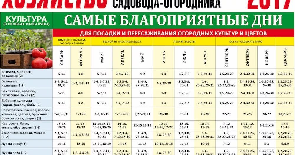 Посев перца 2024 г. Посевной календарь. Календарь посадок. Благоприятные дни для посадки. Садовый календарь.