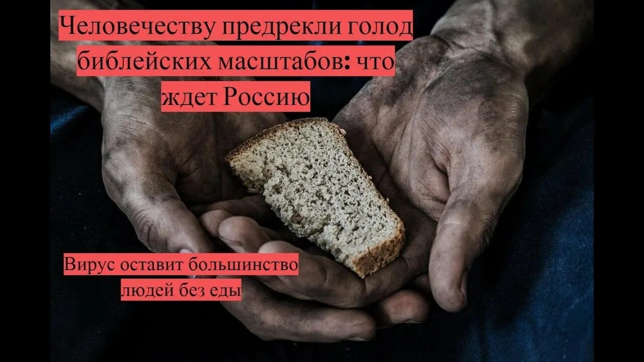 2025 год будет голод. Голод библейский сценарий. прийдут дни когда голод библ.