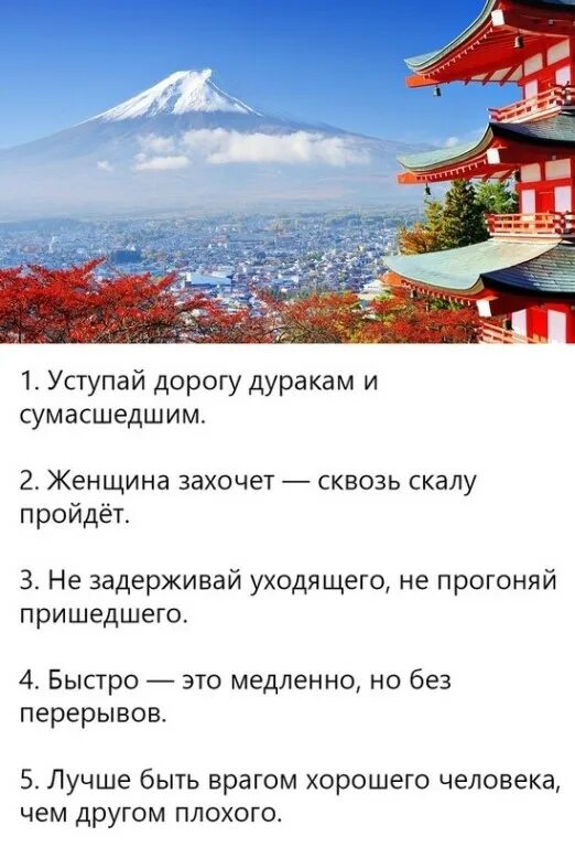 японские мудрые цитаты. япония мудрые высказывания. японские цитаты. фразы японцев. японские цитаты.