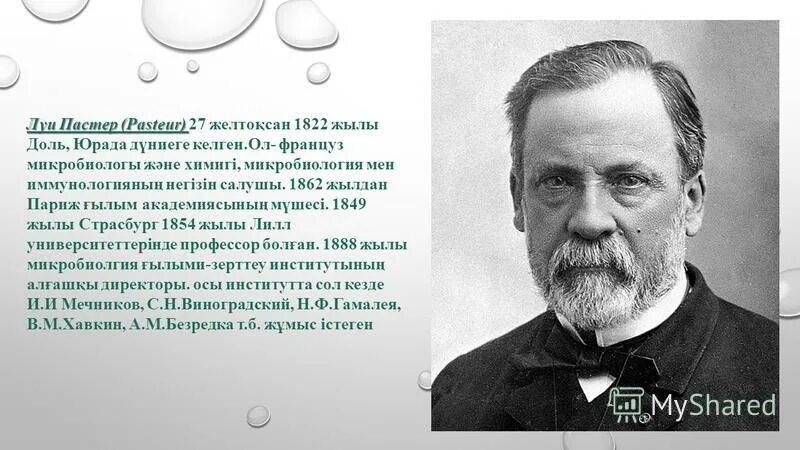 Луи пастер что изобрел. Луи пастер (1822-1895) фото. Луи пастер портрет с подписью. Луи пастер вклад в гигиену. 2 л пастера.