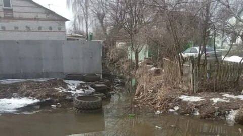 Кривец курск