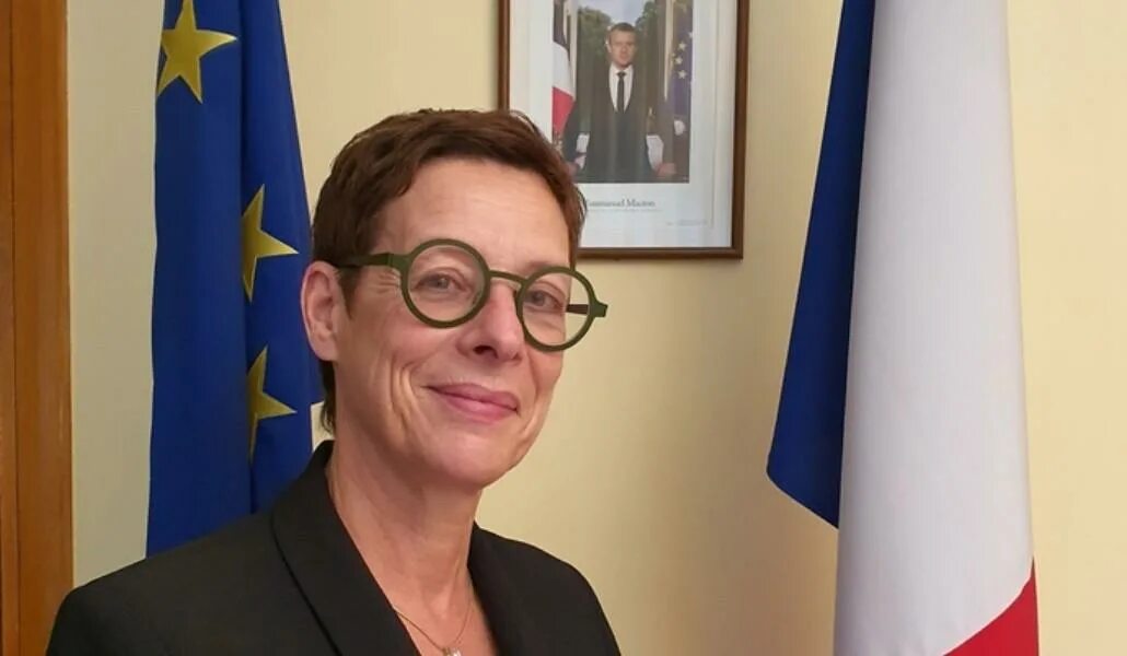Племянника посла франции. Посол франции анн луйо. посол франции в армении.