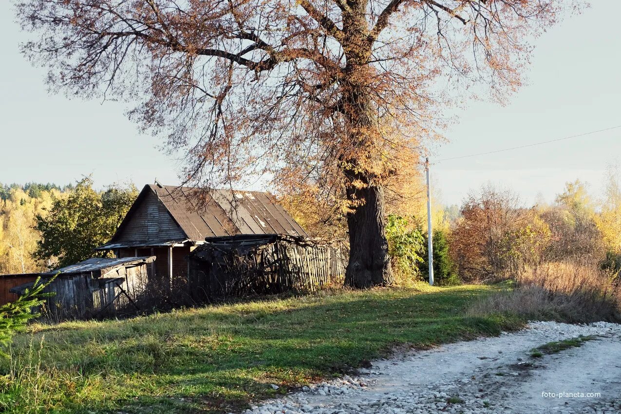 Ступино деревня старое. Деревне ступинский. Лапино деревня мо. Деревня бекетово ступинский район. Деревня сидорово ступинский район.
