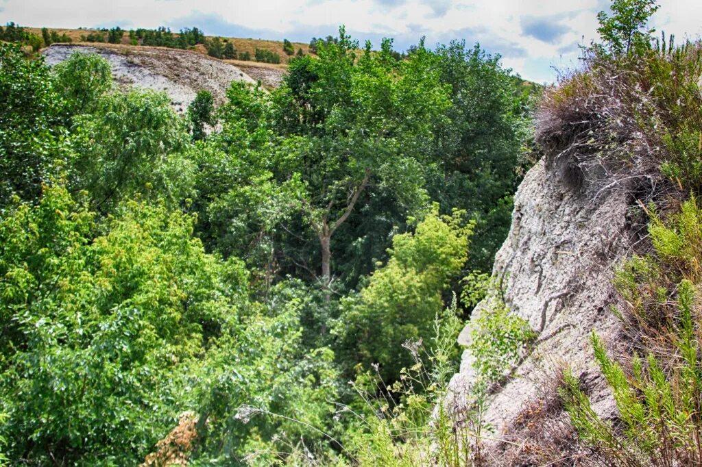 Овраг и родник лей-латка. Осипов овраг татарстан. Овраг в рязани. Низина оврага. Овраг с родником в калуге.