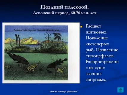 Поздний палеозой