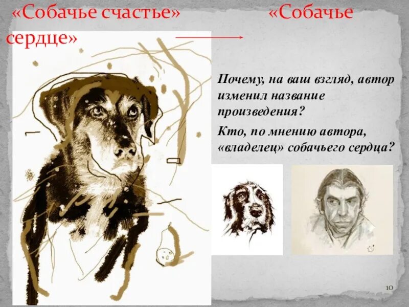 Собачье сердце иллюстрации. Булгаков Собачье сердце. Смысл названия произведения Собачье сердце. Иллюстрации к собачьему сердцу Булгакова.