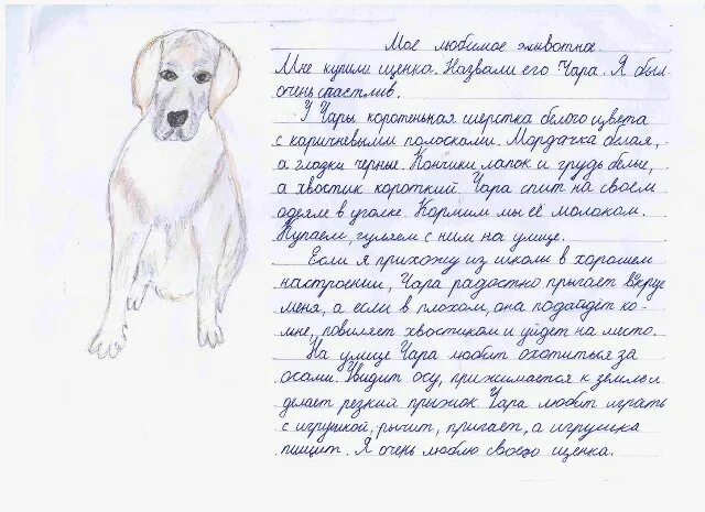 Книга: "Спор деревьев" - Константин Ушинский. Купить книгу, читать рецензии ISBN