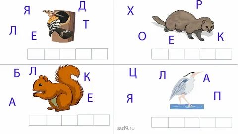 Составить слово из букв профессия